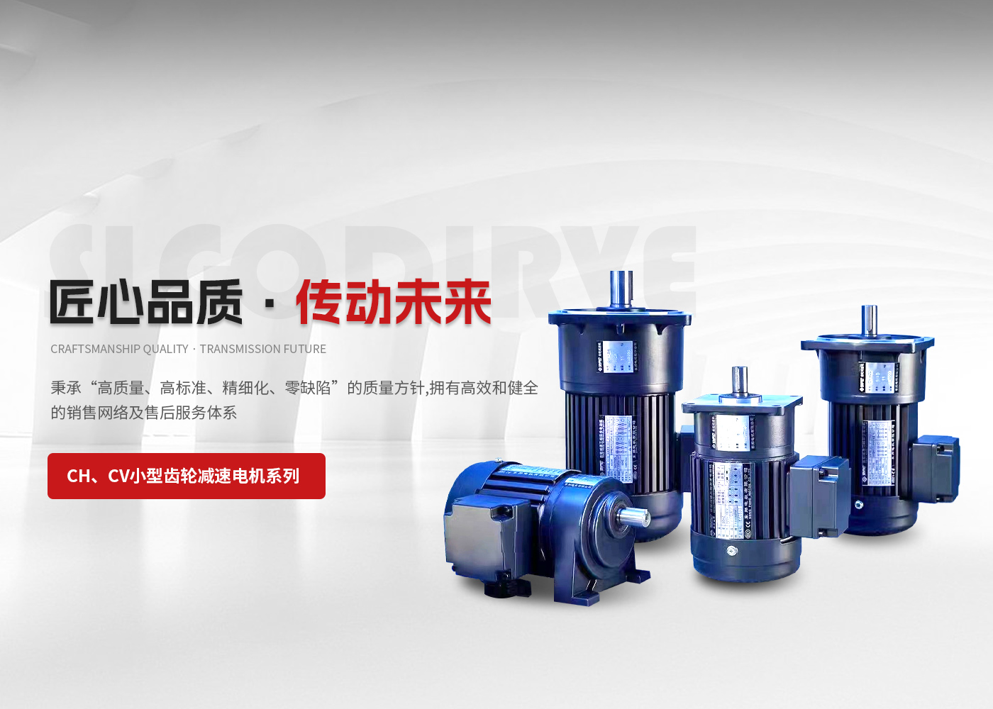 赛高传动（常州）有限公司